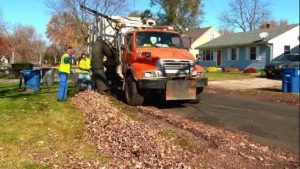 Leaf Pickup